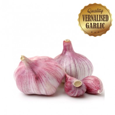 Vernalised Garlic - Australian Red 40mm - 50mm Bulb Diameter - Starting at